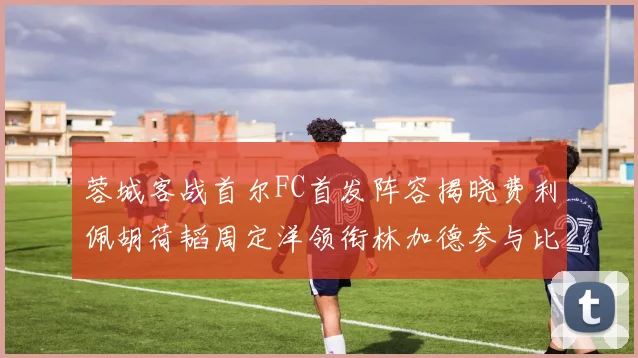 蓉城客战首尔FC首发阵容揭晓费利佩胡荷韬周定洋领衔林加德参与比赛