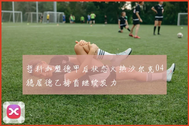 哲科加盟德甲后状态火热沙尔克04稳居德乙榜首继续发力