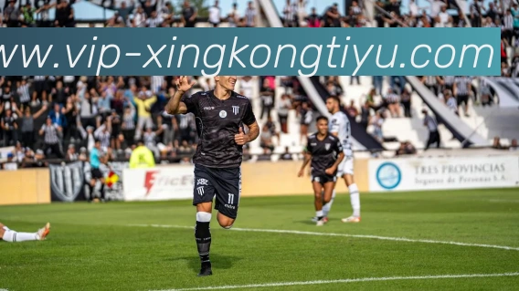 星空体育平台生态图